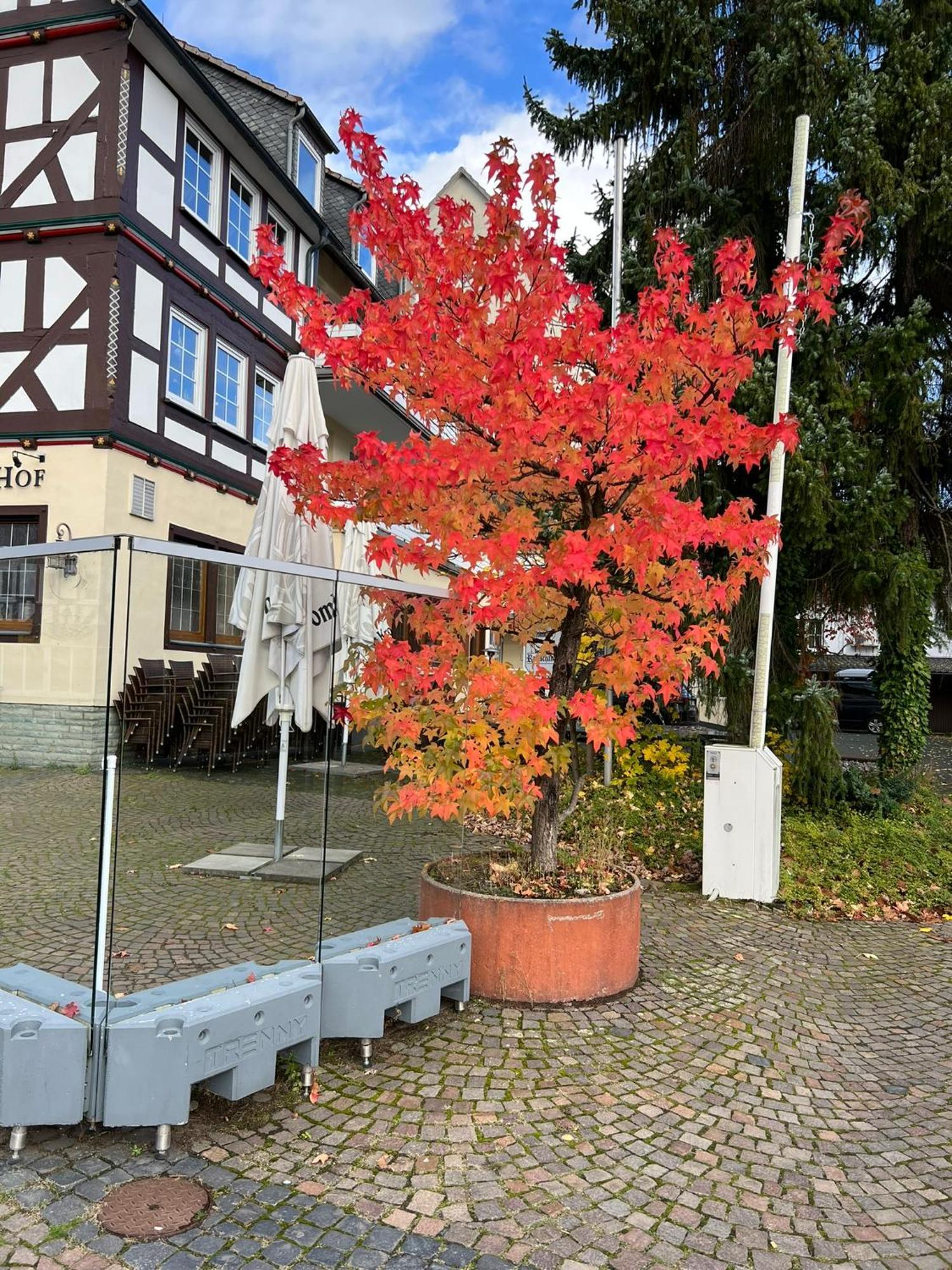 Wittgensteiner Hof 3*